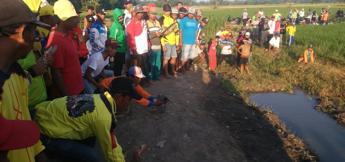 Dua Hari 46 Seri di Situbondo Cup’18