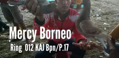 Mercy Borneo Trah Singalaga & Joko Cilik