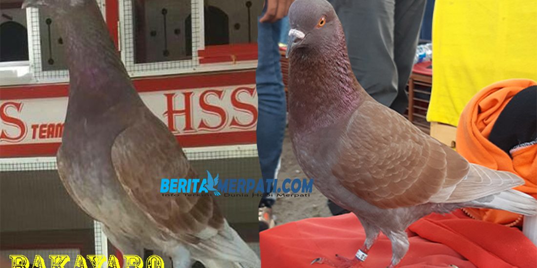 LJB’18 AKHIR; JM & Meteor Puncak Klasmen