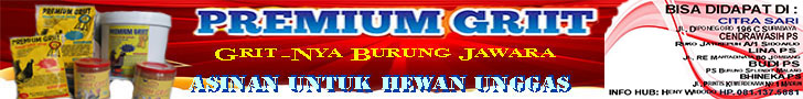 Advertisement